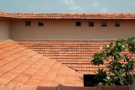 Farmhouse at Balkash